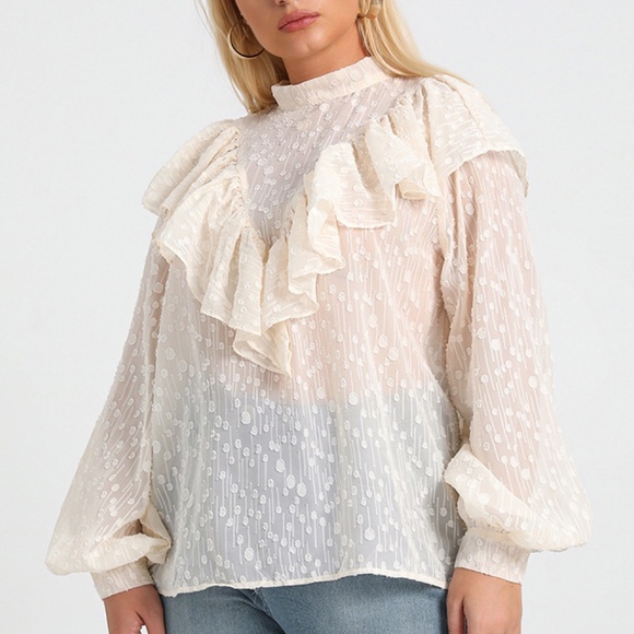 Plus Size Sheer Ruffled Blouse - Picture 2 of 3